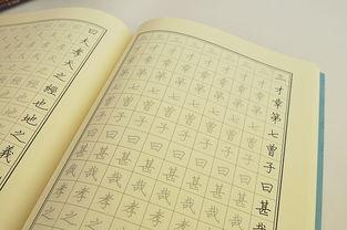 成人硬笔字帖视频教程,跟随视频教程轻松掌握硬笔字帖技巧