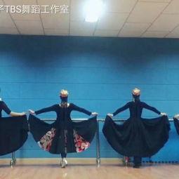 成人舞蹈组合教程视频,成人舞蹈组合教程视频精华解析