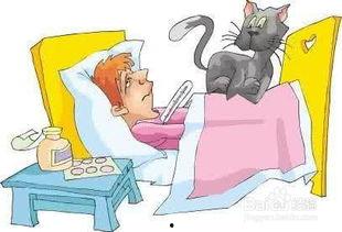 成人怎么科学补钙呢视频,视频精华概述