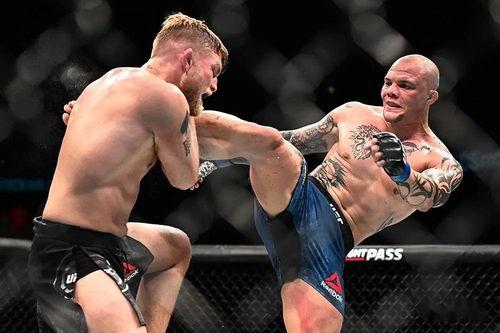 仙桃成人摔跤事件视频,一场意外引发的争议与反思