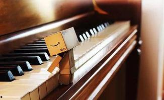 怎么练成人钢琴视频,跟随视频教程轻松入门