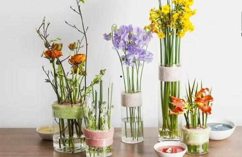 轻黏土插花成人教程视频,打造创意家居艺术品的实用指南