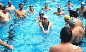 法国成人游泳教练视频,法国成人游泳教练教学视频精华解析