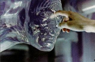 水变成人形视频,揭秘水变成人形的奇幻之旅