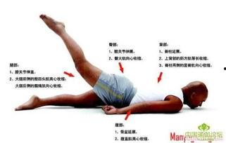 成人锻炼拨筋视频播放教程,视频教程详解