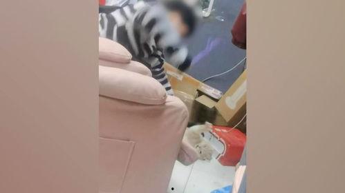 成人被子怎么做视频,温馨家居的温馨之选