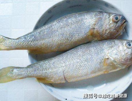 黄鱼成人高清视频,揭秘成人世界的真实面貌