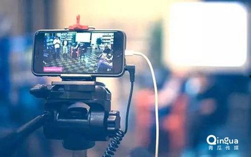 成人带货视频在线观看,在线观看背后的秘密与技巧