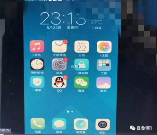 手机成人网站视频