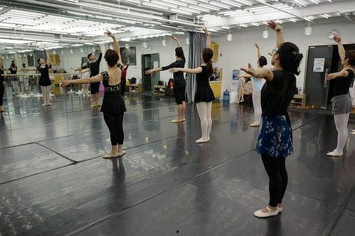 舞蹈成人免费体验课视频,跟随视频感受舞动魅力