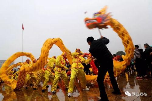 成人舞龙制作视频,揭秘成人舞龙制作全过程